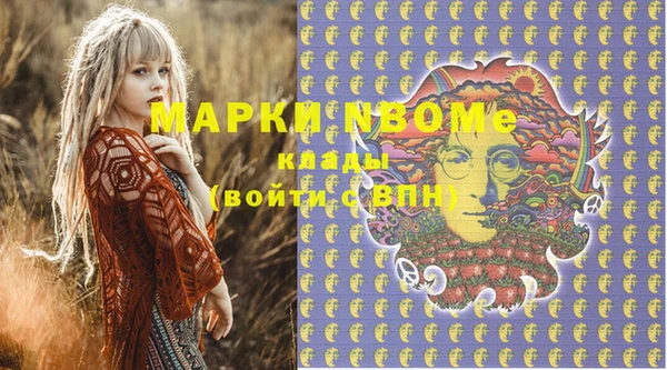 мдпв Вяземский