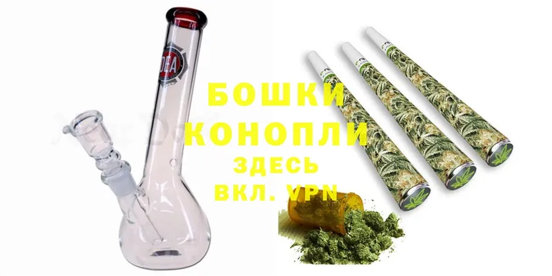 Каннабис OG Kush  Кириши 